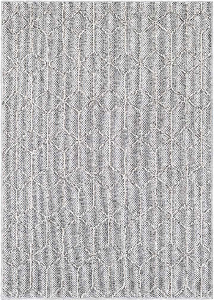 4' 1 x 6' 1 Easy-Clean Trellis Indoor / Outdoor Rug
