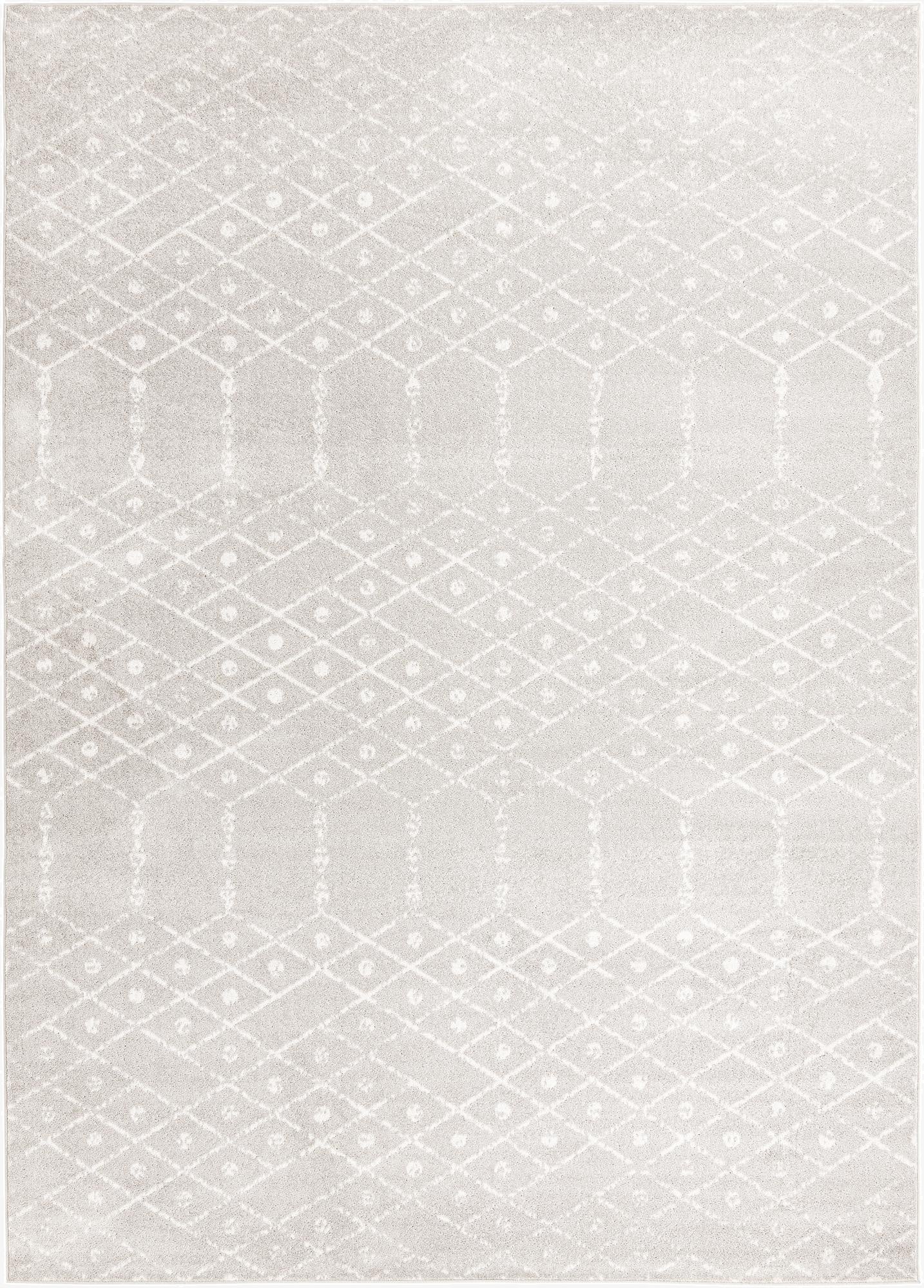 Primary image 10' x 14' Paxon Trellis Rug