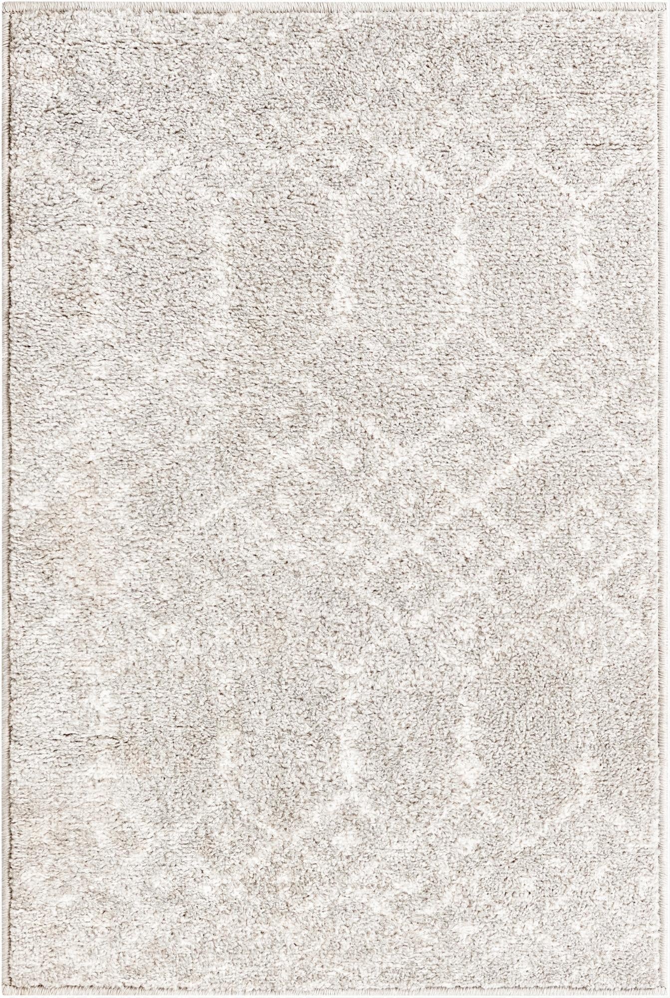 Primary image 2' x 3' Paxon Trellis Rug