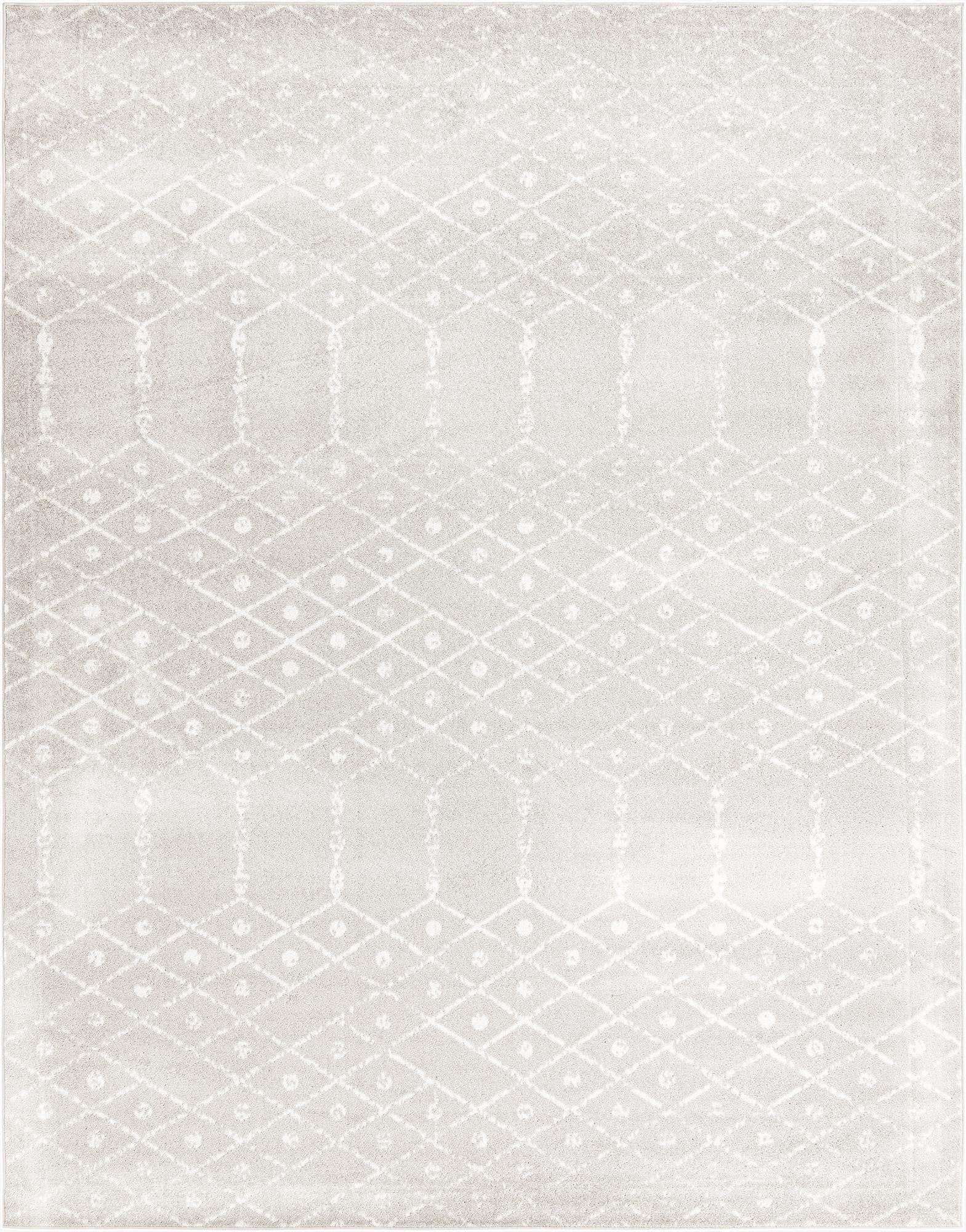 Primary image 10' x 13' Paxon Trellis Rug