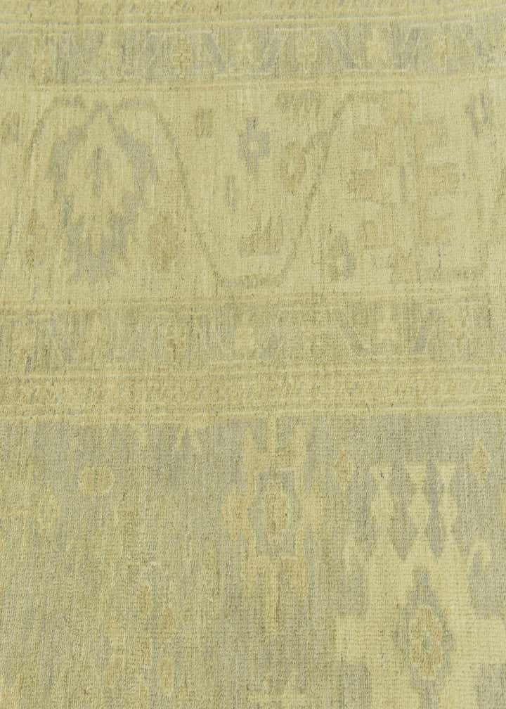 9' x 12' 3 Hand Knotted Peshawar Ziegler Rug