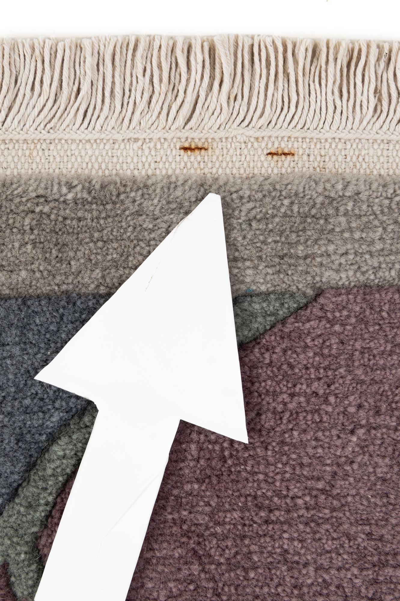 9' 11 x 13' Hand Knotted Tibet Wool Rug