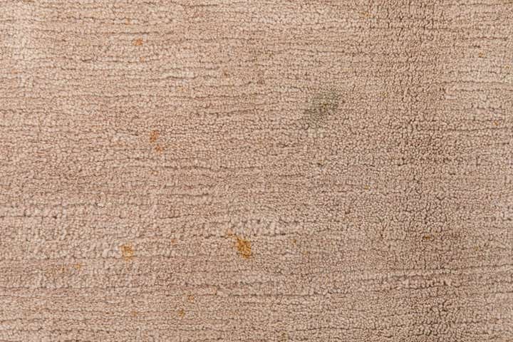 6' 6 x 9' 8 Hand Knotted Tibet Wool Rug