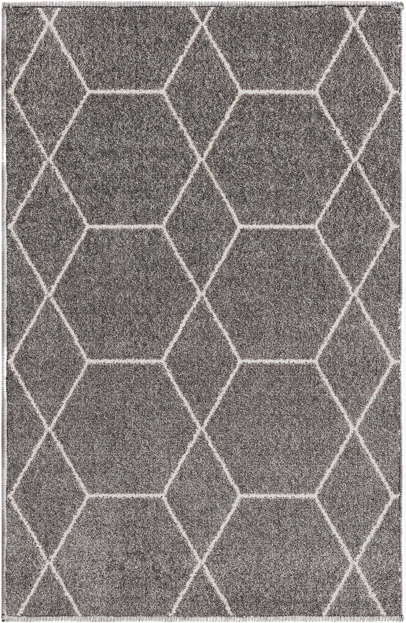 Primary image 2' x 3' Trellis Frieze Rug