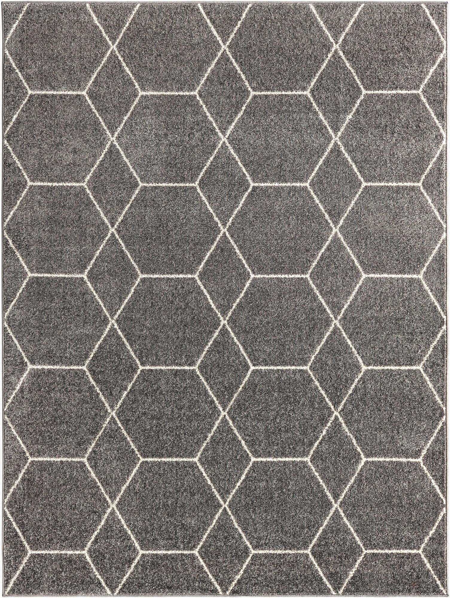 Primary image 10' x 13' Trellis Frieze Rug