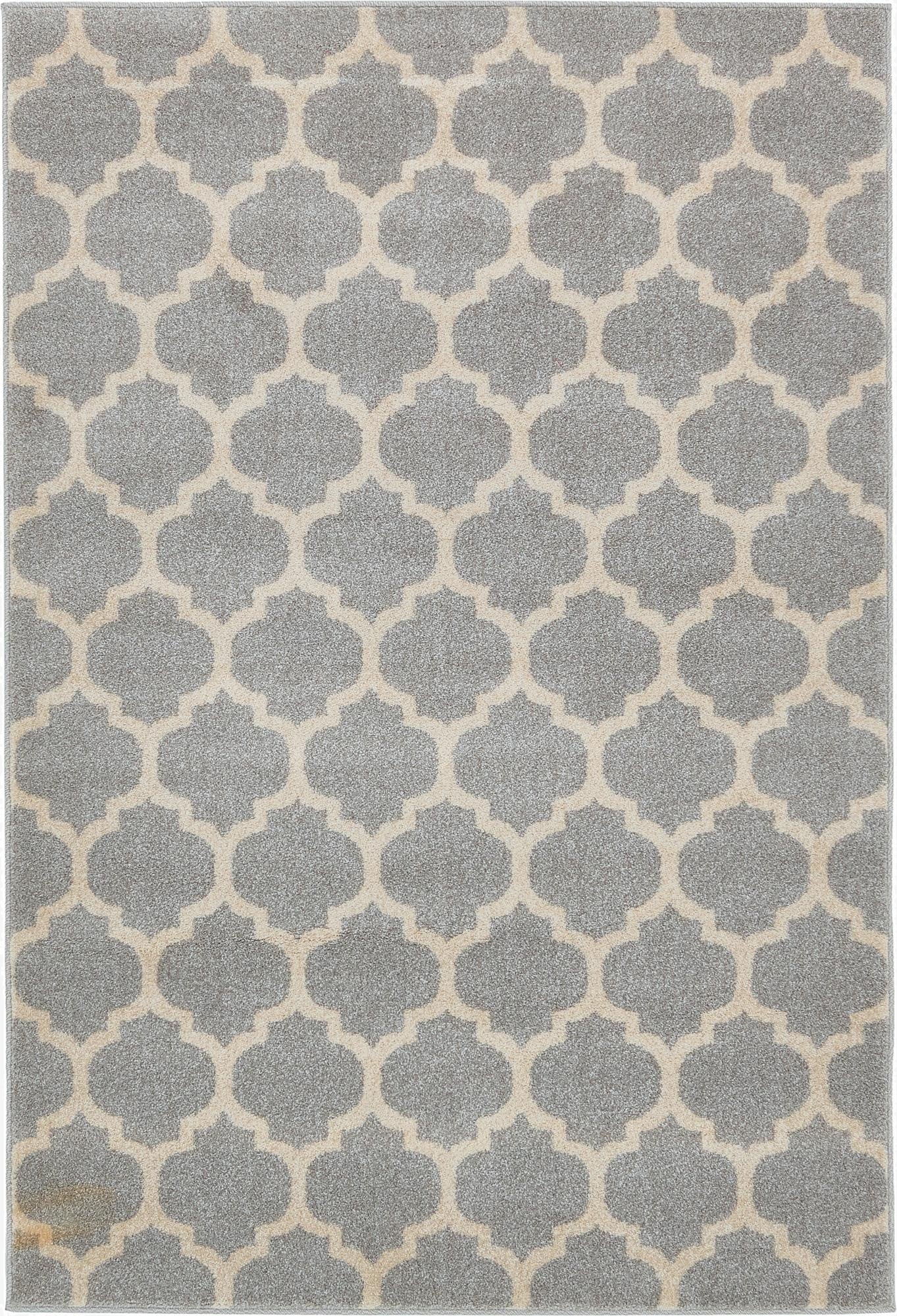 Primary image 4' x 6' Trellis Rug