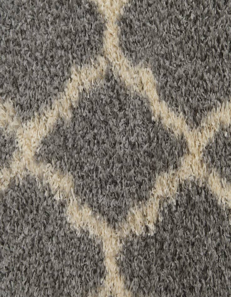 Detail image of 2' 3 x 6' Lattice Shag Runner Rug