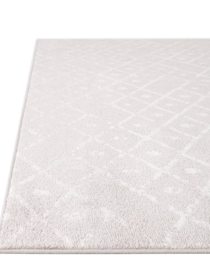 Detail image of 3' x 13' Paxon Trellis Runner Rug