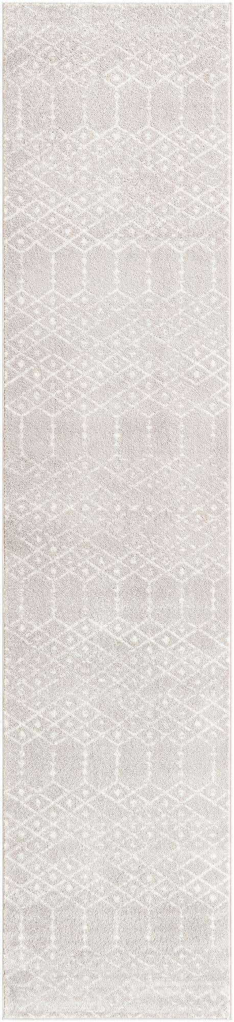 3' x 13' Paxon Trellis Runner Rug