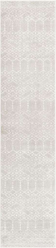 3' x 13' Paxon Trellis Runner Rug