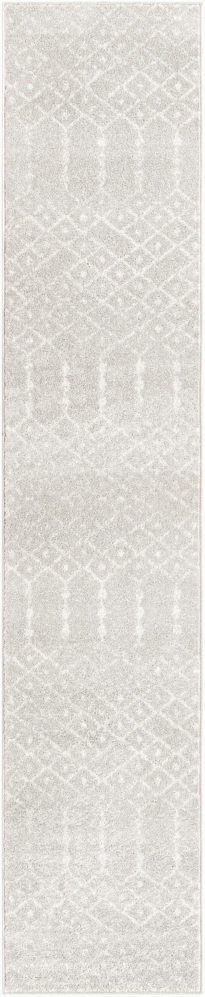Primary image 2' x 9' 10 Paxon Trellis Runner Rug