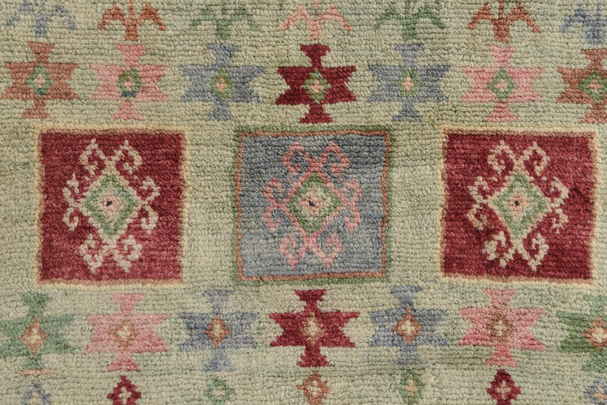 4' x 6' Hand Knotted Ariana Ziegler Wool Rug