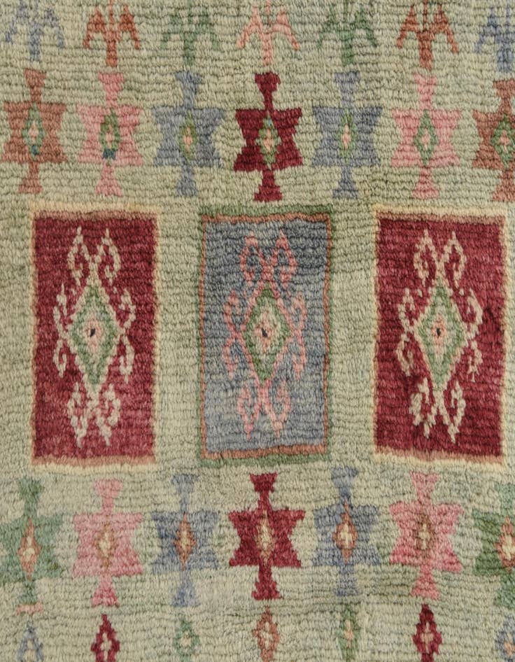 Detail image of 4' x 6'  Hand Knotted Ariana Ziegler Wool Rug