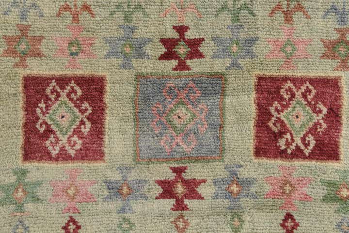 4' x 6' Hand Knotted Ariana Ziegler Wool Rug