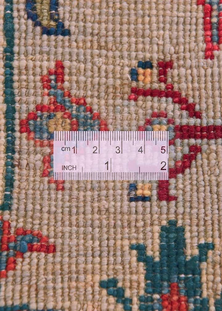 2' 8 x 4' 1 Hand Knotted Ariana Ziegler Rug
