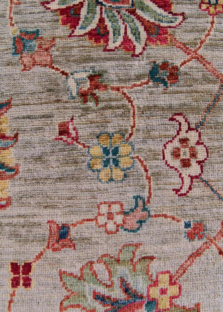 2' 8 x 4' 1 Hand Knotted Ariana Ziegler Rug