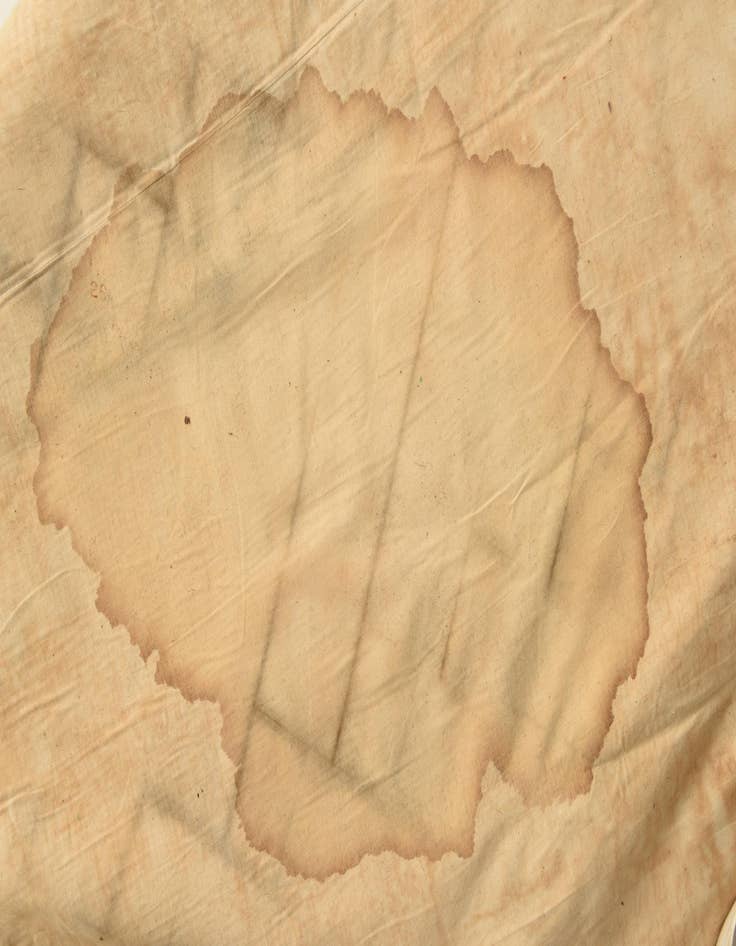 Detail image of 8' 2 x 11' 8 Hand Knotted Carved Pekin Wool Rug