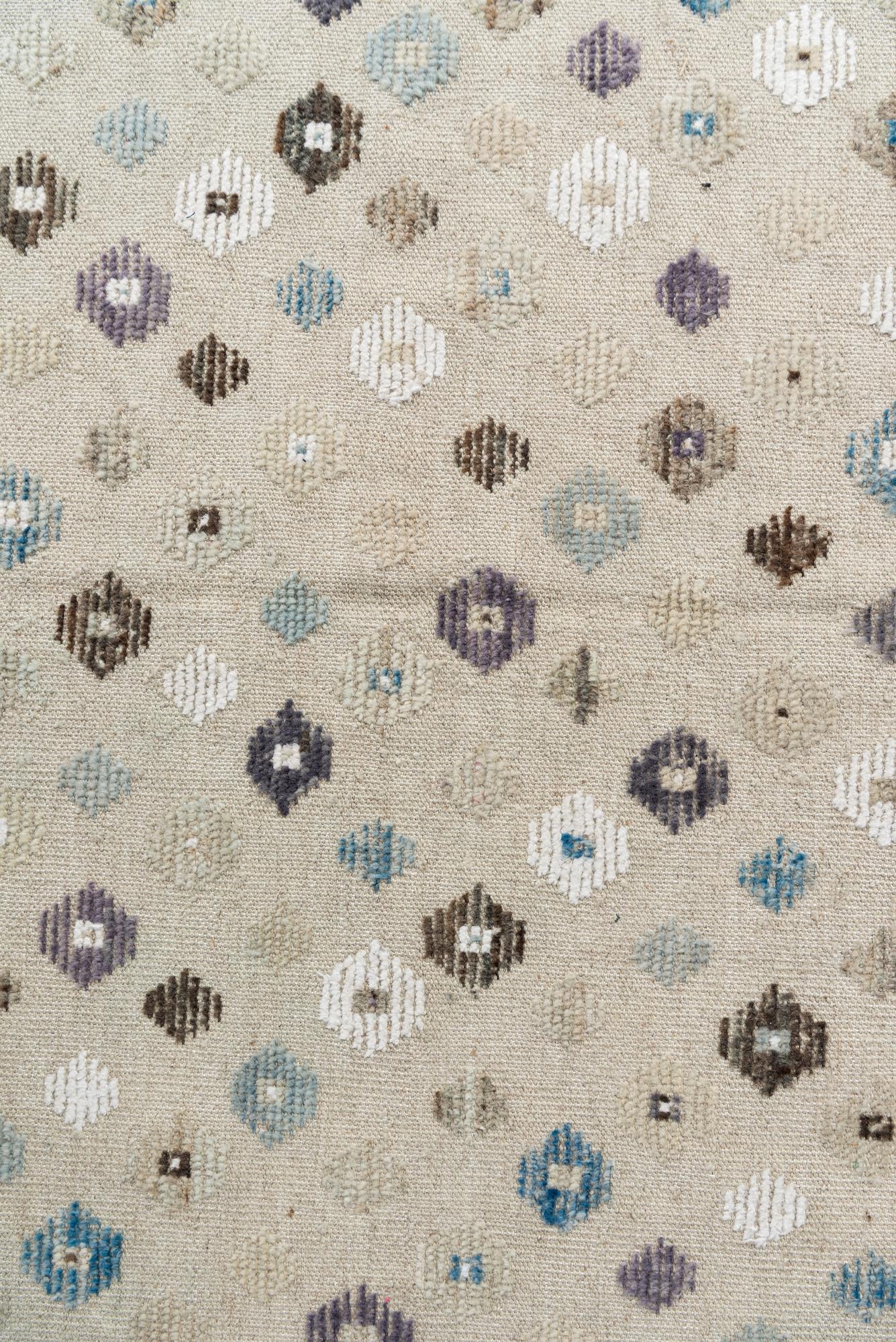 8' 10 x 12' Hand Knotted Darya Wool Rug