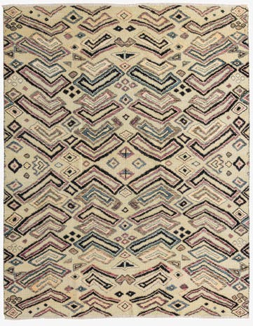 8' 1 x 10' 2 Hand Knotted Darya Wool Rug