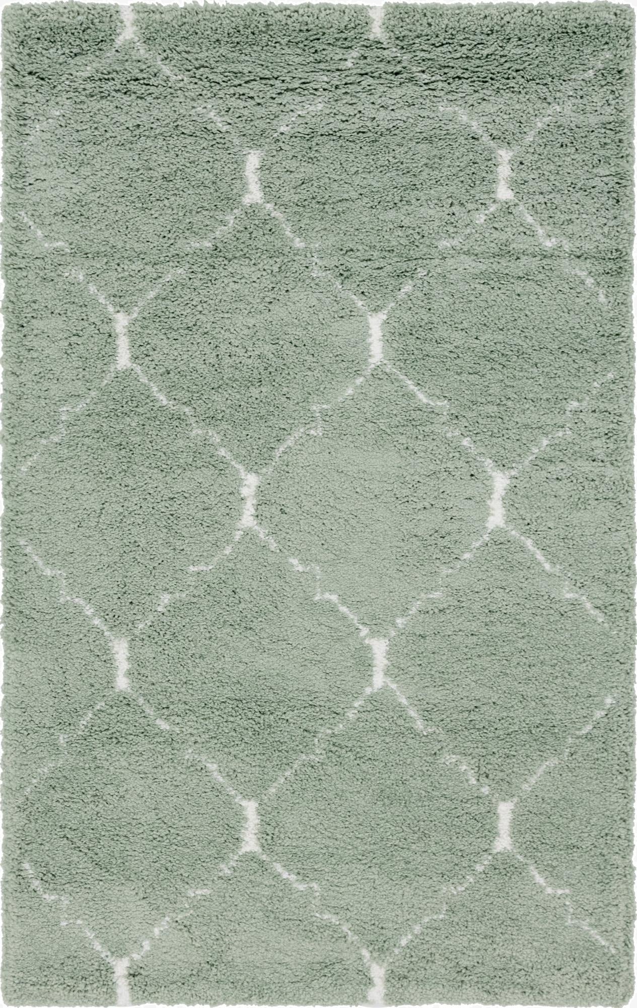 2' 5 x 4' Marrakesh Shag Rug