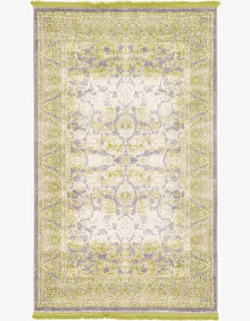 3' 3 x 5' 3 Modern Classical Rug