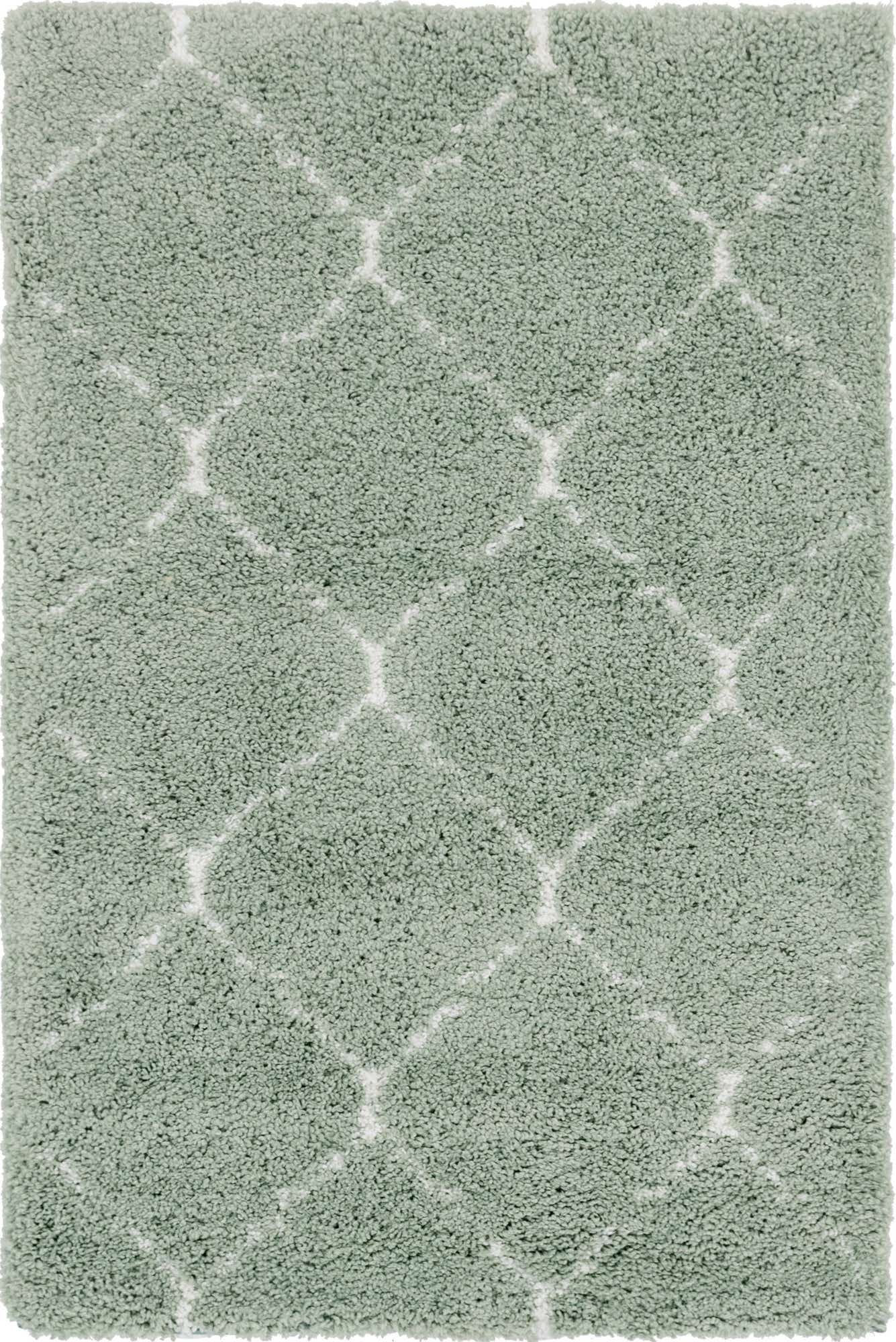 4' x 6' Moroccan Shag Rug