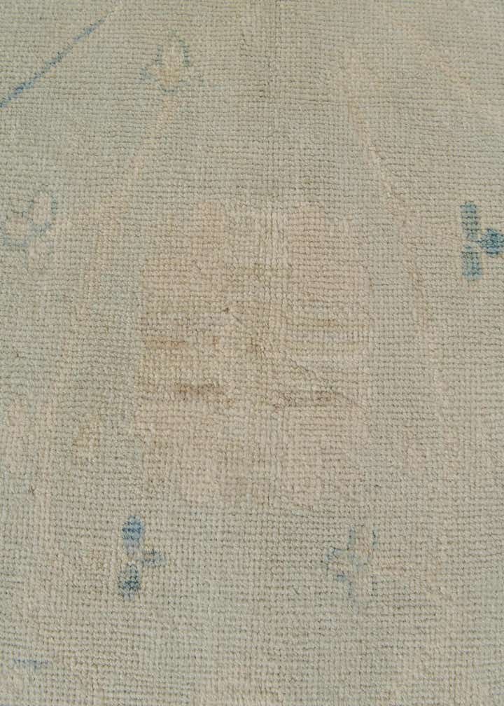 8' 10 x 11' 11 Hand Knotted Oushak Wool Rug