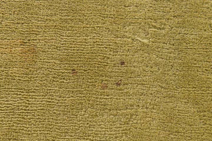 5' 8 x 7' 10 Hand Knotted Tibet Wool Rug