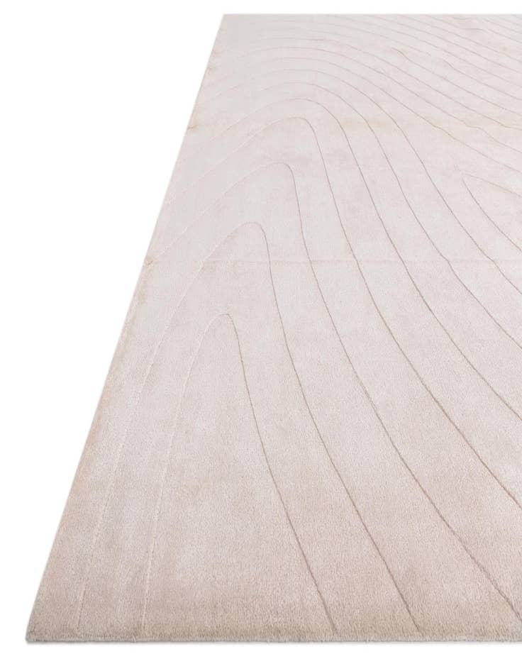 Detail image of 9' 10 x 13' 1  Hand Knotted Darya Wool Rug