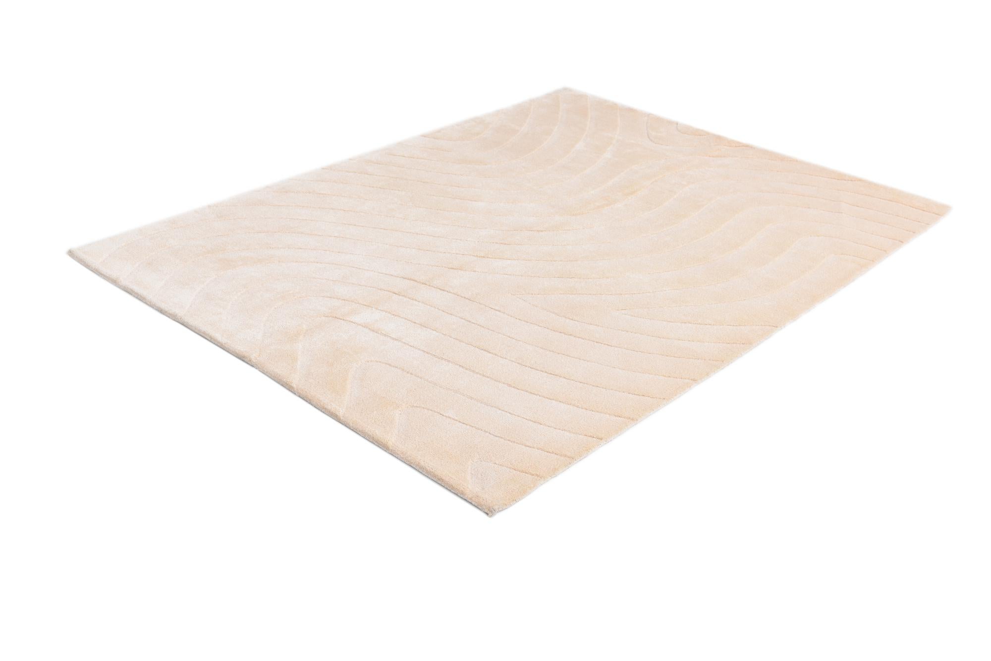 4' 11 x 6' 9 Hand Knotted Darya Wool Rug