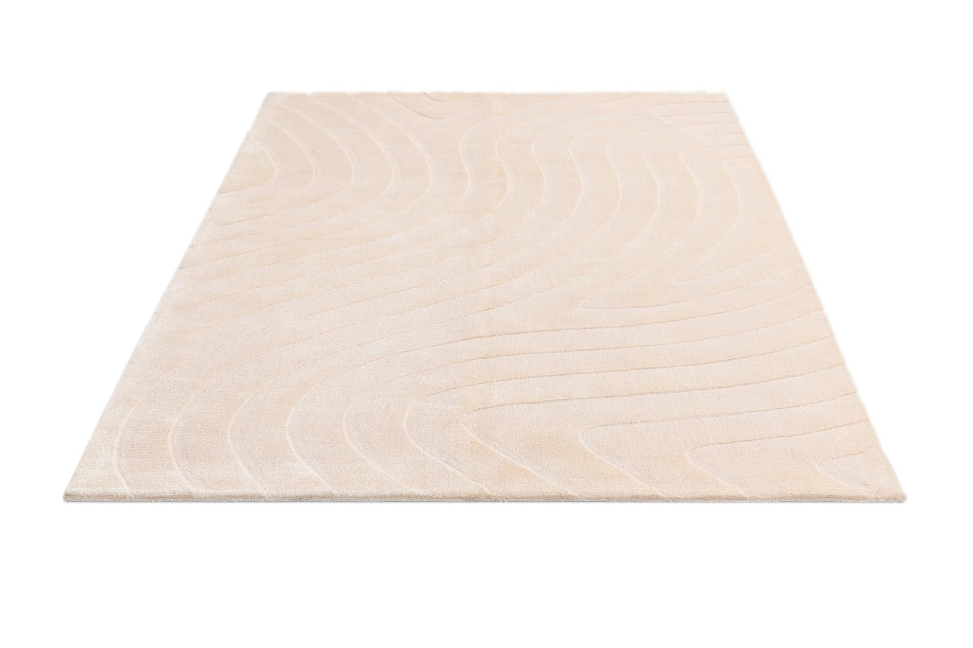 4' 11 x 6' 9 Hand Knotted Darya Wool Rug