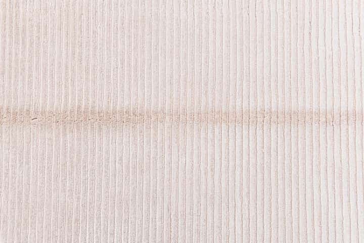 4' 11 x 6' 9 Hand Knotted Darya Wool Rug