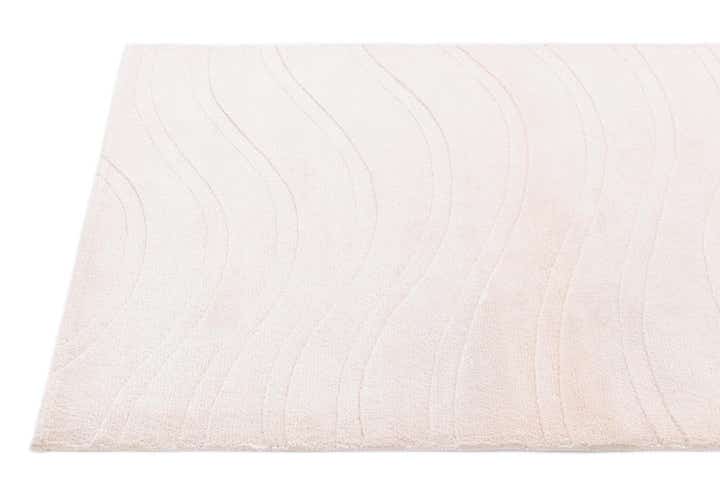2' 9 x 5' Hand Knotted Darya Wool Rug