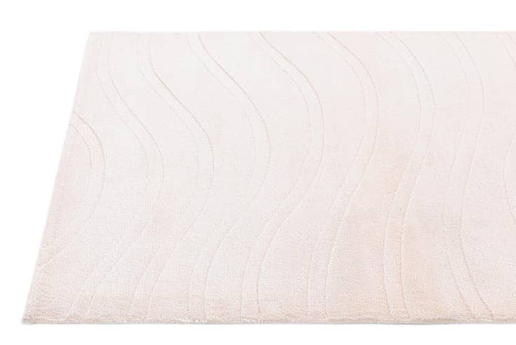 Detail image of 2' 9 x 5' Hand Knotted Darya Wool Rug