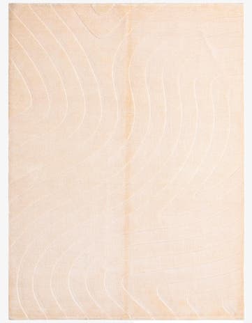 4' 11 x 6' 9 Hand Knotted Darya Wool Rug