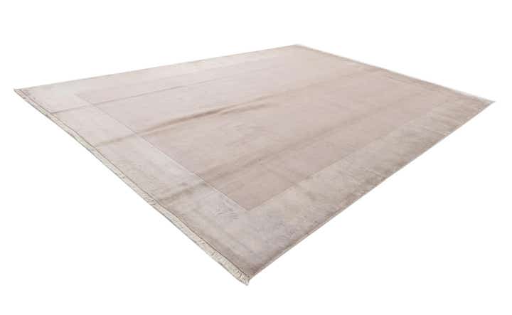 9' 10 x 13' 1 Hand Knotted Darya Wool Rug
