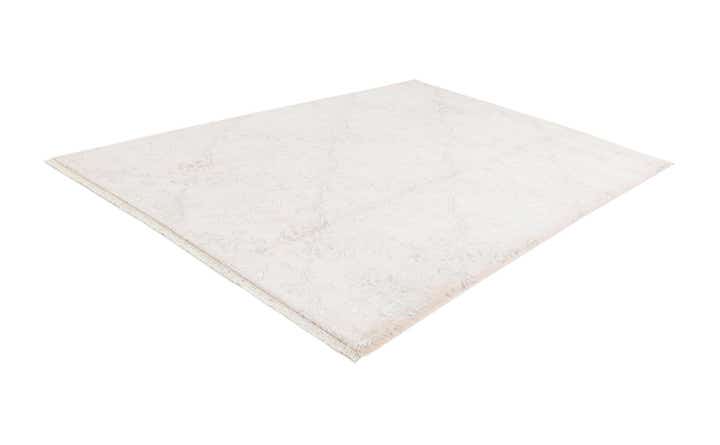 6' 9 x 9' 6 Hand Knotted Darya Wool Rug