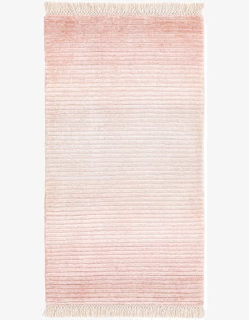 1' 8 x 3' 1 Hand Knotted Darya Wool Rug