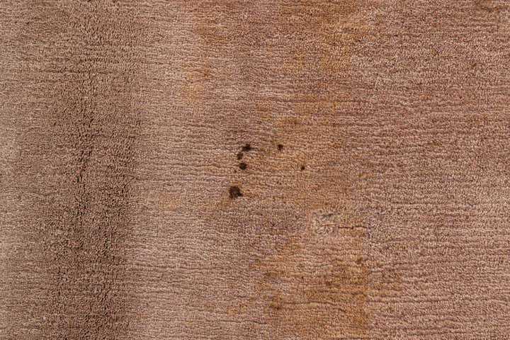 8' 4 x 11' 4 Hand Knotted Tibet Wool Rug