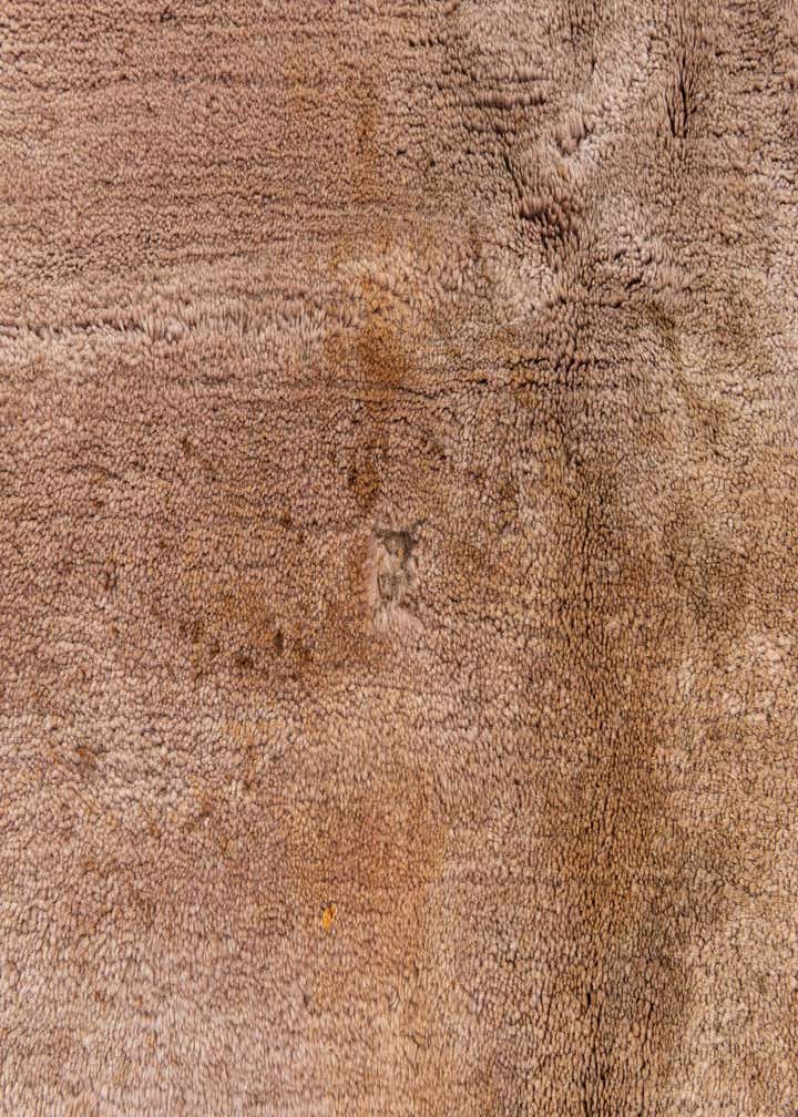 8' 4 x 11' 4 Hand Knotted Tibet Wool Rug