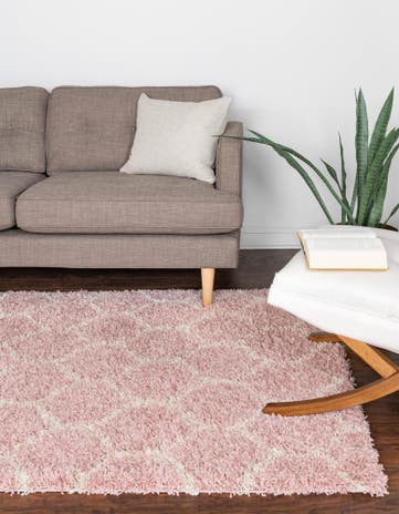 4' x 6' Trellis Shag Rug