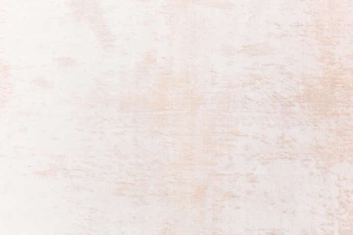 2' 10 x 9' 9 Hand Knotted Darya Wool Runner Rug