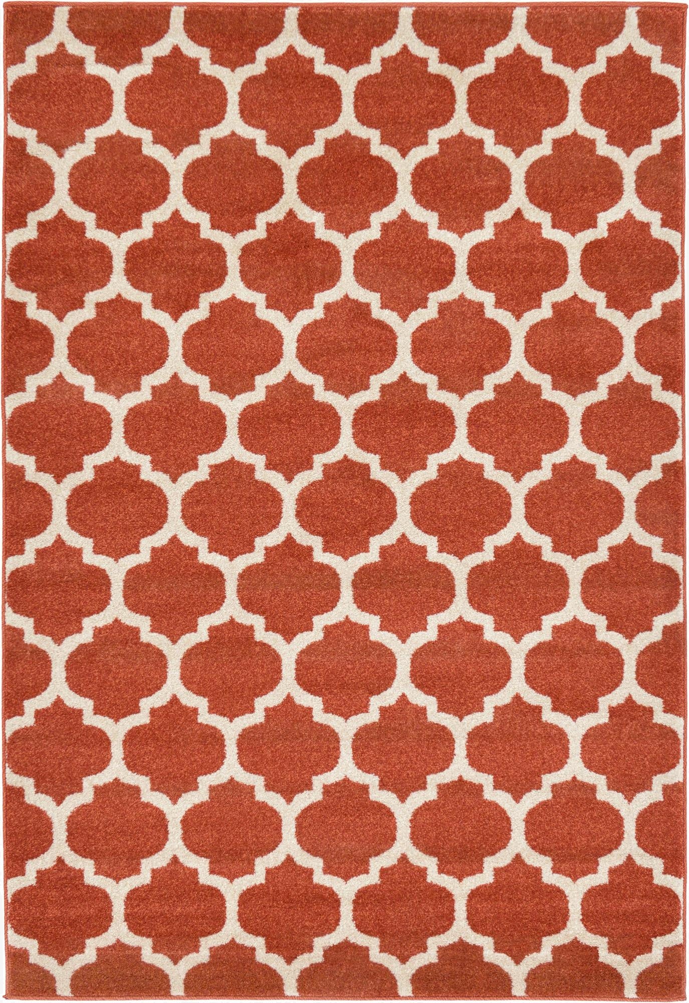 Primary image 7' x 10' Trellis Rug