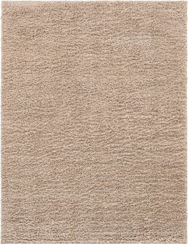 7' x 10' Zermatt Shag Rug
