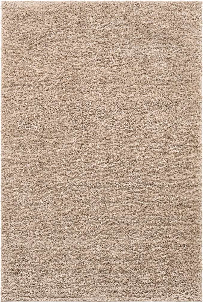 6' x 9' Zermatt Shag Rug