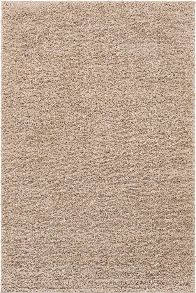 2' x 3' Zermatt Shag Rug