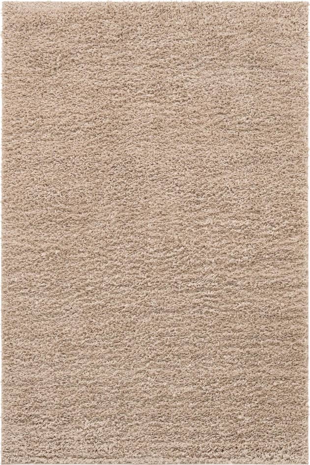 Detail image of 2' x 3' Zermatt Shag Rug