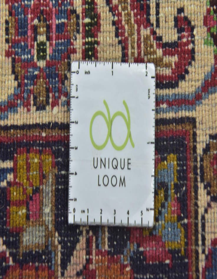 Detail image of 9' 10 x 12' 9  Hand Knotted Birjand Persian Wool Rug