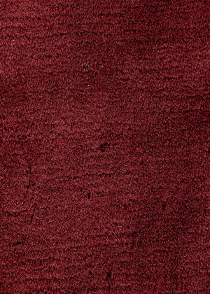 8' 4 x 11' 7 Hand Knotted Tibet Wool Rug