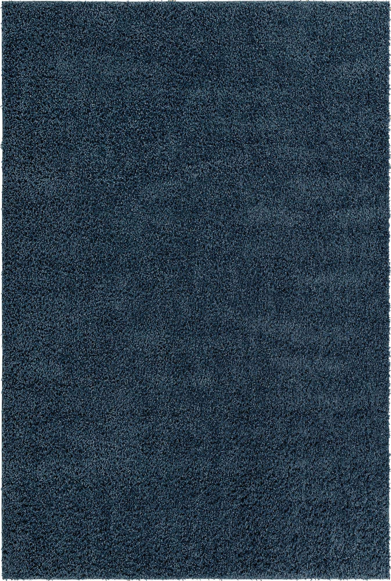 6' x 9' Zermatt Shag Rug